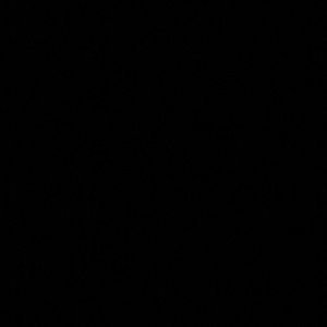 Meet your Posher, Faith